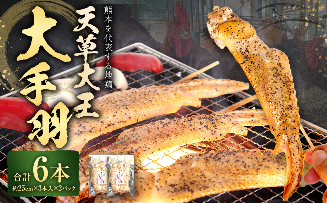 熊本 天草大王 大手羽 6本 （3本×2パック）