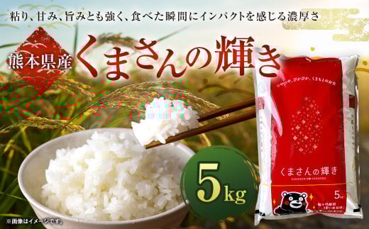 くまさんの輝き5kg×1袋