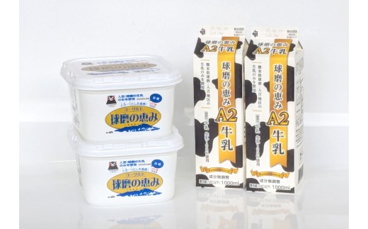 球磨の恵み A2牛乳 球磨の恵みヨーグルト 加糖 セット