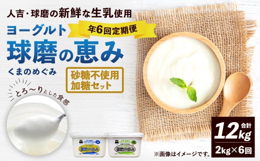 【定期便6回】 球磨の恵みヨーグルト（加糖、砂糖不使用） 各1kg 計2パック