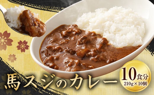 馬スジのカレー10食セット2.1kg