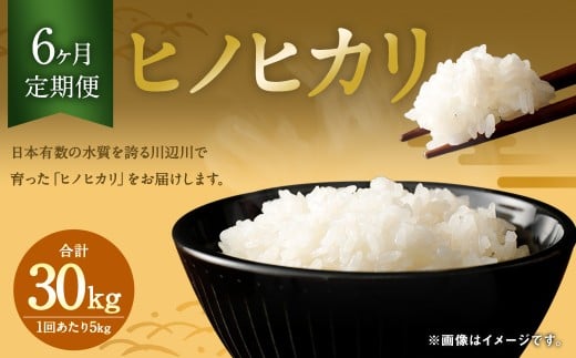 【6ヶ月定期便】相良村産 ヒノヒカリ 5kg