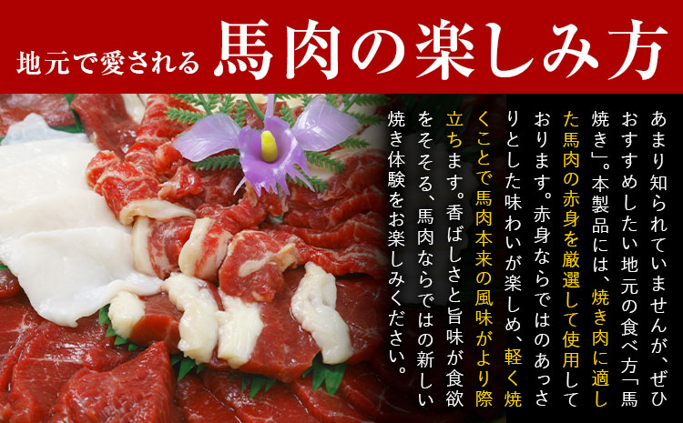 馬肉焼肉用 500g カット済 桜屋《60日以内に出荷予定(土日祝除く)》送料無料 肉 馬肉 焼肉---sy_fskbnyk_60d_25_14500_500g---