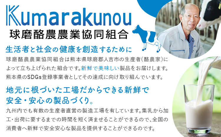 球磨の恵み ヨーグルト 計2個 のむヨーグルト 計8本 堪能セット 球磨酪農農業協同組合《30日以内に出荷予定(土日祝除く)》熊本県 球磨郡 山江村 球磨の恵みヨーグルト 球磨の恵みのむヨーグルト 加糖 砂糖不使用 熊本県産 生乳 使用---ym_ckrkmyt_30d_r7_14000_10p---