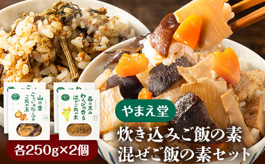 炊き込みご飯の素 混ぜご飯の素セット 各250g×2個 有限会社 やまえ堂 《30日以内に出荷予定(土日祝除く)》山の幸 たけのこ 竹の子 筍 しいたけ きくらげ わらび 炊き込みご飯 混ぜ込みご飯 送料無料---sy_dotkgn_30d_r7_16500_1000g---