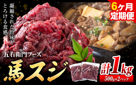 馬肉 馬スジ 500g × 2パック 6kg 6ヶ月定期便 五右衛門フーズ 《お申込み月の翌月から出荷開始》 熊本県 球磨郡 山江村 馬肉 肉 国産 スジ カレー 煮込み おでん おかず 送料無料---sy_fgoeumsjtei_r7_80000_1kg_mo6---