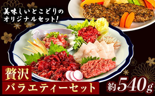 贅沢バラエティセット 540g 馬肉 冷凍 《60日以内に出荷予定(土日祝除く)》 新鮮 さばきたて 生食用 肉 熊本県球磨郡山江村 馬刺し 馬肉 惣菜 希少部位 SEN---sy_fsenzibr_60d_r7_14000_540g---