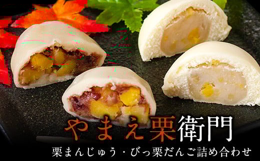 熊本県山江村産 やまえ栗衛門 栗まんじゅう・びっ栗だんご詰め合わせ 株式会社 やまえ 《60日以内に出荷予定(土日祝除く)》 栗 くり ---sy_fymemon_60d_r7_14000_1020g---