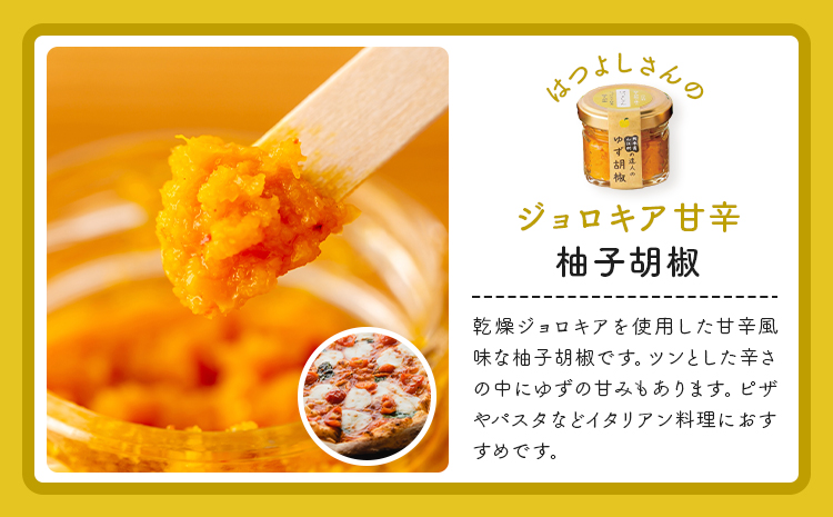 熊本県山江村の達人のゆず胡椒 5本セット 鷹乃産業有限会社《30日以内に出荷予定(土日祝除く)》柚子 ゆず ユズ こしょう 胡椒 柚子胡椒 セット---sy_takayzk_30d_25_14500_5s---