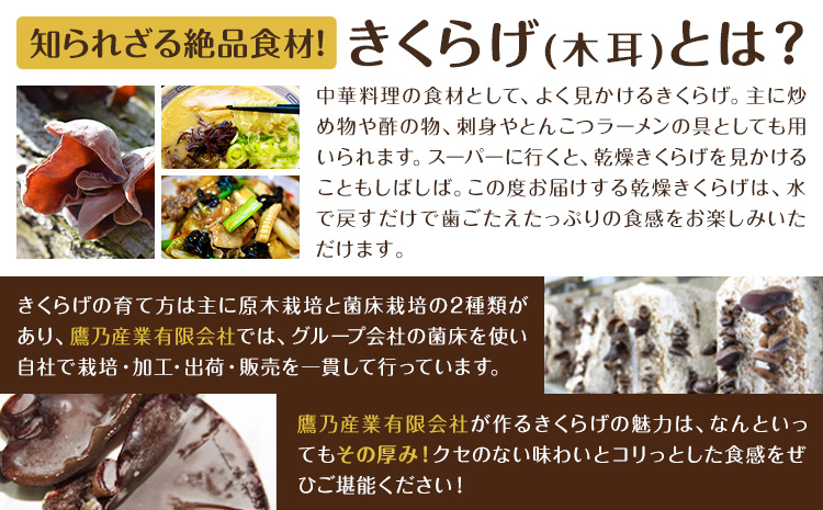 乾燥きくらげ 160g 鷹乃産業有限会社 《30日以内に出荷予定(土日祝除く)》熊本県 球磨郡 山江村 きくらげ きのこ 野菜---sy_takaksk_30d_25_14500_160g---