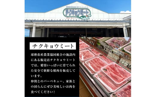 A4等級以上 熊本県産黒毛和牛 サーロインステーキ 3枚入り(1枚200g前後) チクキョウミート《60日以内に出荷予定(土日祝除く)》---sy_ftmkwsteak_60d_r7_40500_3p---