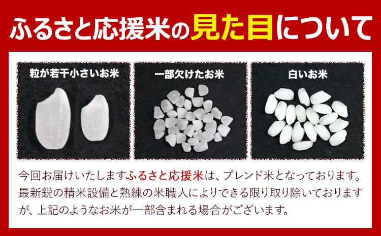 【12ヶ月定期便】米 無洗米 家庭用 熊本 ふるさと応援 定期便 米 5kg《申込み翌月から発送》 熊本県産 白米 精米 山江村 ブレンド米 国産 おうちご飯 予約 返礼品 発送 配送 SDGs わけあり むせんまい お米 おこめ---ym_youenmimtei_5kg_162000_mo12---