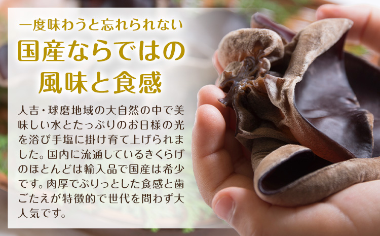 生きくらげ 1kg 鷹乃産業有限会社 《30日以内に出荷予定(土日祝除く)》熊本県 球磨郡 山江村 きくらげ きのこ 野菜---sy_ctakanmk_30d_25_15000_1kg---