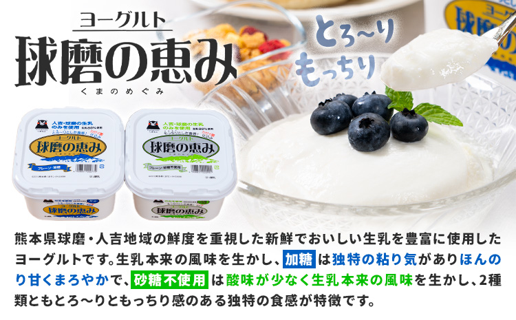 球磨の恵み ヨーグルト 計2個 のむヨーグルト 計8本 堪能セット 球磨酪農農業協同組合《30日以内に出荷予定(土日祝除く)》熊本県 球磨郡 山江村 球磨の恵みヨーグルト 球磨の恵みのむヨーグルト 加糖 砂糖不使用 熊本県産 生乳 使用---ym_ckrkmyt_30d_r7_14000_10p---