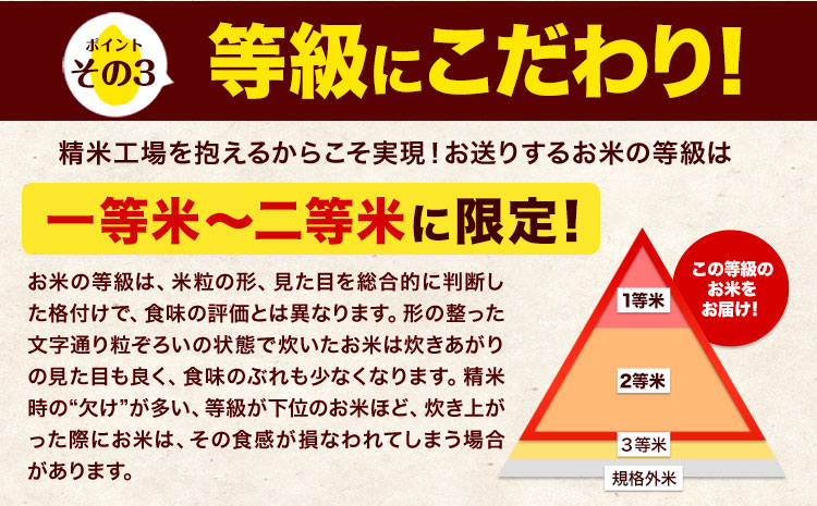 新米 令和7年産 【9ヶ月定期便】 白米 ひのひかり 15kg 《お申し込み月の翌月から出荷開始》 熊本県産 無洗米 白米 精米 ひの 送料無料 熊本県 山江村 SDGs むせんまい 米 コメ こめ 国産---hn7tei_337500_15kg_mo9_ym_h---