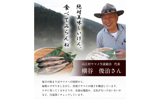 生ヤマメ 2kg 約20匹 山江村ヤマメ生産組合《30日以内に出荷予定(土日祝除く)》ヤマメ 山女魚 山女 2kg 約20匹 魚介類 魚 生鮮品 送料無料 冷蔵便---sy_cyamamea_30d_r7_26000_2kg---