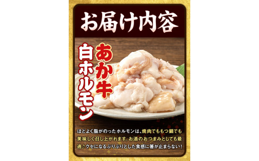 あか牛 白ホルモン 500g 五右衛門フーズ 《60日以内に出荷予定(土日祝除く)》 熊本県 球磨郡 山江村 牛肉 肉 国産 熊本県産 ブランド牛 絶品 贅沢 高級 あか牛 ホルモン もつ モツ もつ鍋---sy_fgoeaksrhr_60d_r7_14000_500g---