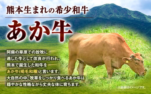 あか牛 焼肉用カット 1.5kg 3ヶ月定期便 五右衛門フーズ 《お申込み月の翌月から出荷開始》 熊本県 球磨郡 山江村 牛肉 肉 国産 熊本県産 ブランド牛 絶品 贅沢 高級 焼肉---sy_fgoeakyktei_r7_58500_500g_mo3---