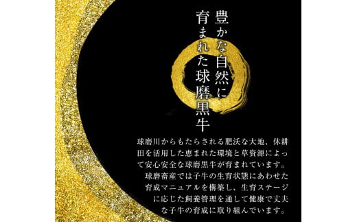 A4等級以上 熊本県産黒毛和牛 サーロインステーキ 3枚入り(1枚200g前後) チクキョウミート《60日以内に出荷予定(土日祝除く)》---sy_ftmkwsteak_60d_r7_40500_3p---