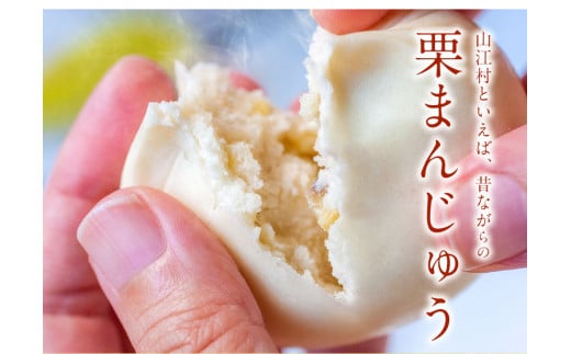 熊本県山江村産 やまえ栗衛門 栗まんじゅう・びっ栗だんご詰め合わせ 株式会社 やまえ 《60日以内に出荷予定(土日祝除く)》 栗 くり ---sy_fymemon_60d_r7_14000_1020g---