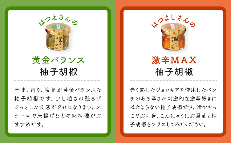 熊本県山江村の達人のゆず胡椒 5本セット 鷹乃産業有限会社《30日以内に出荷予定(土日祝除く)》柚子 ゆず ユズ こしょう 胡椒 柚子胡椒 セット---sy_takayzk_30d_25_14500_5s---