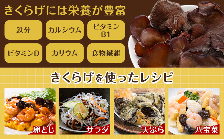 乾燥きくらげ 40g 鷹乃産業有限会社 《30日以内に出荷予定(土日祝除く)》熊本県 球磨郡 山江村 きくらげ きのこ 野菜---isy_takaksk_30d_25_4500_40g---