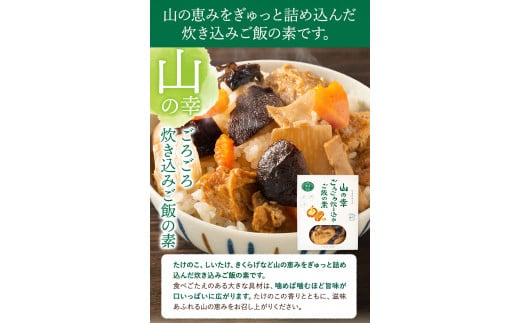 炊き込みご飯の素 混ぜご飯の素セット 各250g×1個 有限会社 やまえ堂 《30日以内に出荷予定(土日祝除く)》山の幸 たけのこ 竹の子 筍 しいたけ きくらげ わらび 炊き込みご飯 混ぜ込みご飯 送料無料---sy_dotkgn_30d_r7_10000_500g---