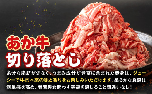 あか牛 切り落とし 3kg 6ヶ月定期便 五右衛門フーズ 《お申込み月の翌月から出荷開始》 熊本県 球磨郡 山江村 牛肉 肉 国産 熊本県産 ブランド牛 絶品 贅沢 高級 あか牛---sy_fgoeakukrtei_r7_80000_500g_mo6---