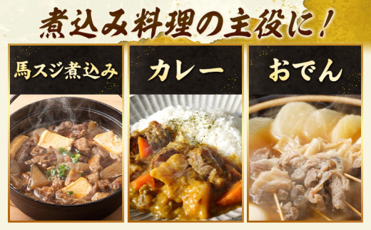 馬肉 馬スジ 500g × 2パック 6kg 6ヶ月定期便 五右衛門フーズ 《お申込み月の翌月から出荷開始》 熊本県 球磨郡 山江村 馬肉 肉 国産 スジ カレー 煮込み おでん おかず 送料無料---sy_fgoeumsjtei_r7_80000_1kg_mo6---