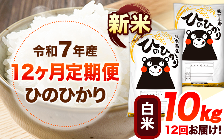 令和7年産【12ヶ月定期便】新米 白米 ひのひかり 10kg 《お申込み翌月から出荷》 熊本県産 白米 精米 ひの 送料無料 熊本県 山江村 SDGs 米 コメ こめ 国産---hn7tei_306000_10kg_mo12_ym_h---