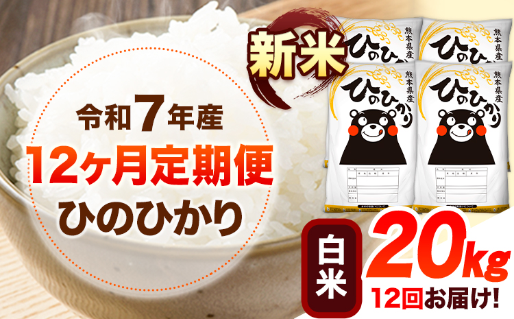 令和7年産【12ヶ月定期便】新米 白米 ひのひかり 20kg 《お申込み翌月から出荷》 熊本県産 白米 精米 ひの 送料無料 熊本県 山江村 SDGs 米 コメ こめ 国産---hn7tei_594000_20kg_mo12_ym_h---