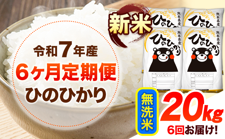令和7年産【6ヶ月定期便】新米 無洗米 ひのひかり 20kg 《お申込み翌月から出荷》 熊本県産 無洗米 精米 ひの 送料無料 熊本県 山江村 SDGs 米 コメ こめ 国産---hn7tei_297000_20kg_mo6_ym_m---