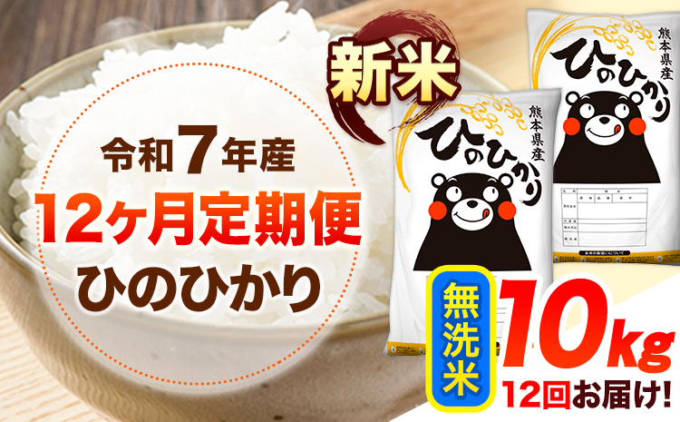 令和7年産【12ヶ月定期便】新米 無洗米 ひのひかり 10kg 《お申込み翌月から出荷》 熊本県産 無洗米 精米 ひの 送料無料 熊本県 山江村 SDGs 米 コメ こめ 国産---hn7tei_306000_10kg_mo12_ym_m---