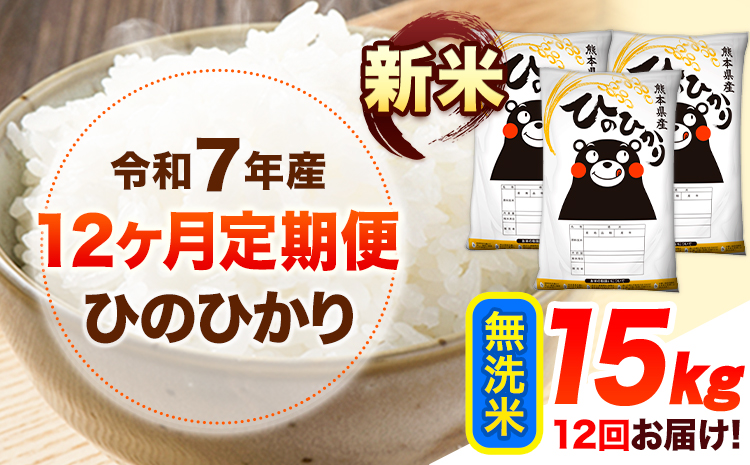 令和7年産【12ヶ月定期便】新米 無洗米 ひのひかり 15kg 《お申込み翌月から出荷》 熊本県産 無洗米 精米 ひの 送料無料 熊本県 山江村 SDGs 米 コメ こめ 国産---hn7tei_450000_15kg_mo12_ym_m---