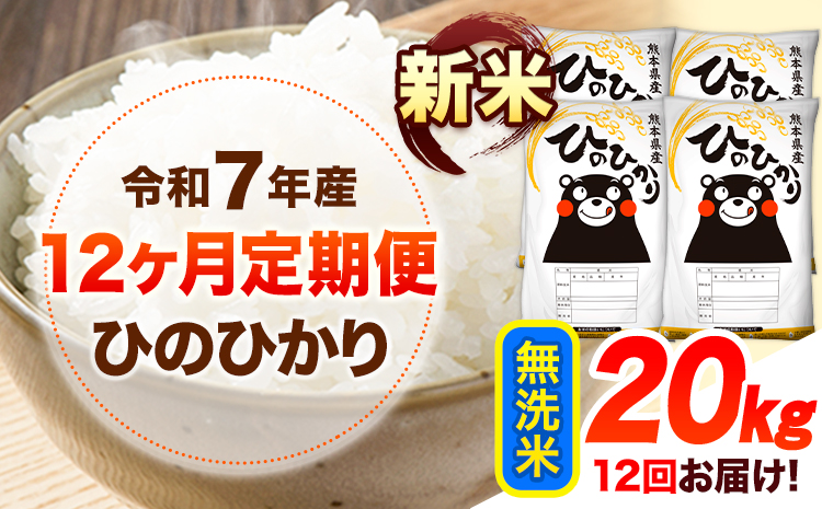 令和7年産【12ヶ月定期便】新米 無洗米 ひのひかり 20kg 《お申込み翌月から出荷》 熊本県産 無洗米 精米 ひの 送料無料 熊本県 山江村 SDGs 米 コメ こめ 国産---hn7tei_594000_20kg_mo12_ym_m---