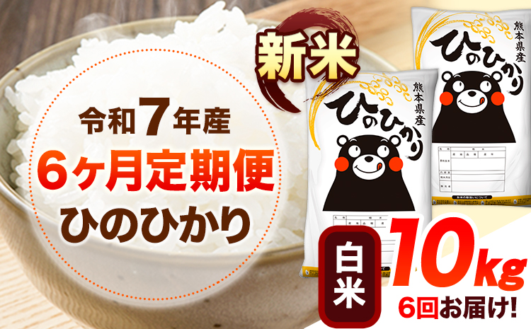 令和7年産【6ヶ月定期便】新米 白米 ひのひかり 10kg 《お申込み翌月から出荷》 熊本県産 白米 精米 ひの 送料無料 熊本県 山江村 SDGs 米 コメ こめ 国産---hn7tei_153000_10kg_mo6_ym_h---