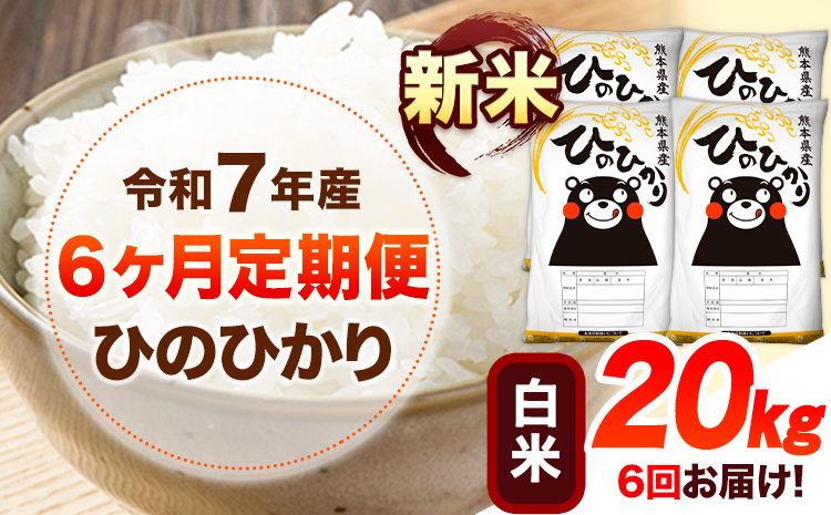 令和7年産【6ヶ月定期便】新米 白米 ひのひかり 20kg 《お申込み翌月から出荷》 熊本県産 白米 精米 ひの 送料無料 熊本県 山江村 SDGs 米 コメ こめ 国産---hn7tei_297000_20kg_mo6_ym_h---