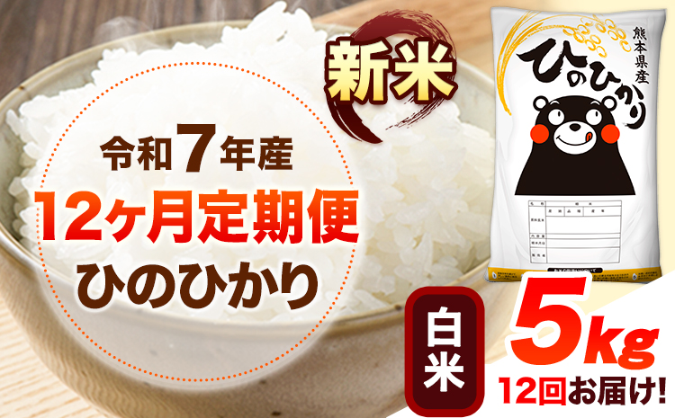 令和7年産【12ヶ月定期便】新米 白米 ひのひかり 5kg 《お申し込み月の翌月から出荷開始》 熊本県産 白米 精米 ひの 送料無料 熊本県 山江村 SDGs 米 コメ こめ 国産---hn7tei_174000_5kg_mo12_ym_h---