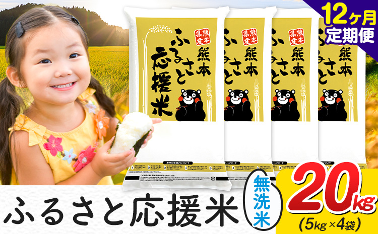 【12ヶ月定期便】米 無洗米 家庭用 熊本 ふるさと応援 定期便 米 20kg《お申込み翌月から出荷》 熊本県産 白米 精米 山江村 ブレンド米 国産 おうちご飯 予約 返礼品 発送 配送 SDGs わけあり むせんまい お米 おこめ---ym_youenmimtei_20kg_546000_mo12---