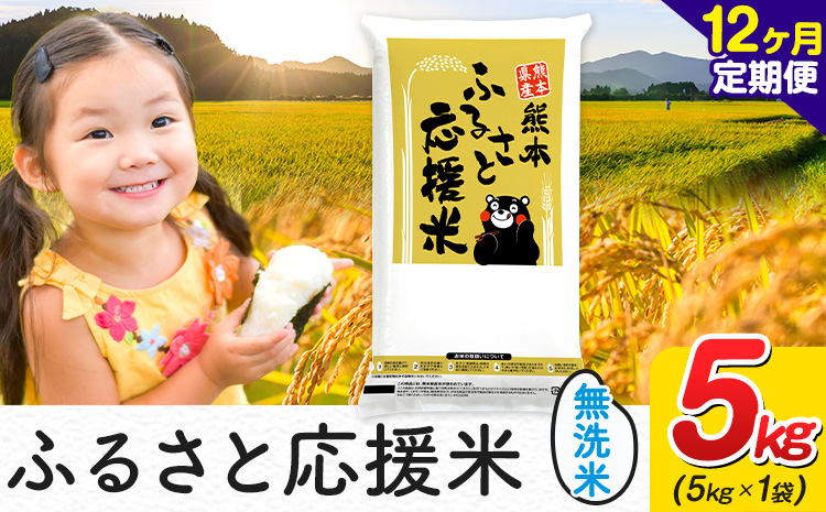 【12ヶ月定期便】米 無洗米 家庭用 熊本 ふるさと応援 定期便 米 5kg《申込み翌月から発送》 熊本県産 白米 精米 山江村 ブレンド米 国産 おうちご飯 予約 返礼品 発送 配送 SDGs わけあり むせんまい お米 おこめ---ym_youenmimtei_5kg_162000_mo12---