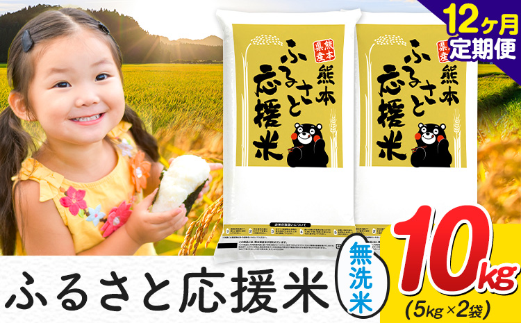 【12ヶ月定期便】米 無洗米 家庭用 熊本 ふるさと応援 定期便 米 10kg《お申込み翌月から出荷》 熊本県産 白米 精米 山江村 ブレンド米 国産 おうちご飯 予約 返礼品 発送 配送 SDGs わけあり むせんまい お米 おこめ---ym_youenmimtei_10kg_282000_mo12---