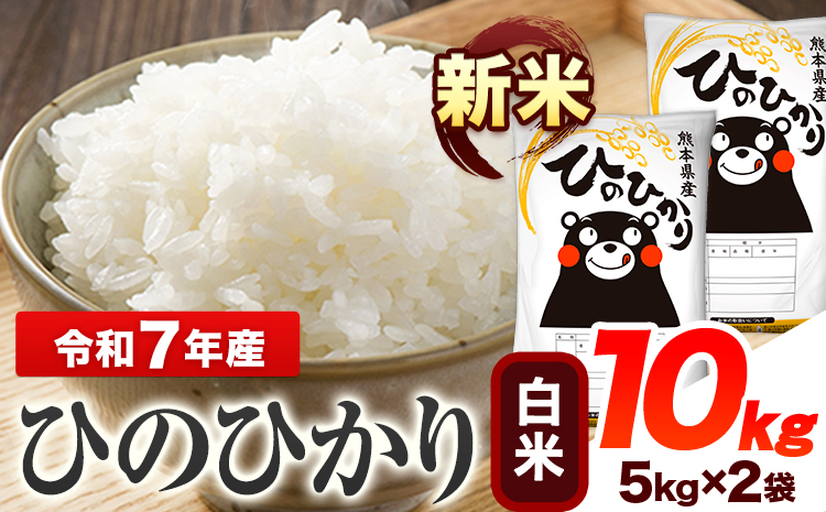令和7年産 ひのひかり 新米 白米 10kg 《7-14日以内に出荷予定(土日祝除く)》 熊本県産 白米 精米 ひの 送料無料 熊本県 山江村---ym_hn7_wx_25500_10kg_h---