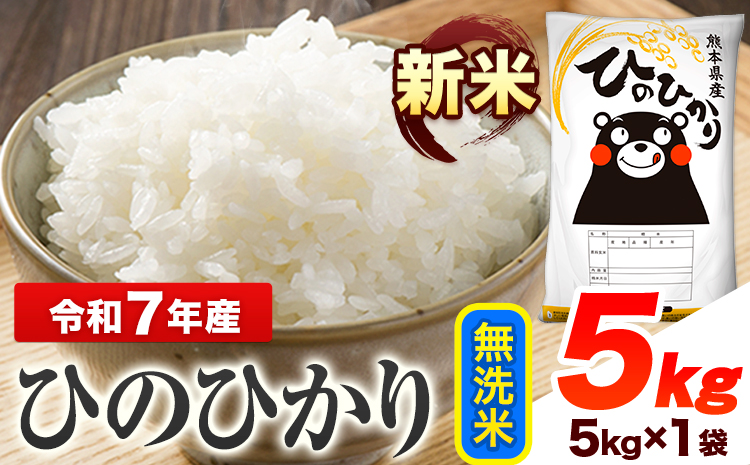令和7年産 ひのひかり 新米 無洗米 5kg 《7-14日以内に出荷予定(土日祝除く)予定》 熊本県産 無洗米 精米 ひの 送料無料 熊本県 山江村---ym_hn7_wx_14500_5kg_m---