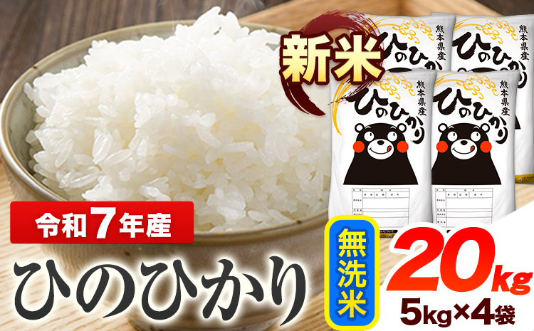 令和7年産 ひのひかり 新米 無洗米 20kg 《7-14日以内に出荷予定(土日祝除く)》 熊本県産 無洗米 精米 ひの 送料無料 熊本県 山江村---ym_hn7_wx_49500_20kg_m---