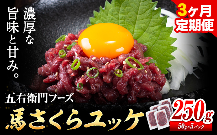 馬肉 馬さくらユッケ 50g × 5パック 750g 3ヶ月定期便 五右衛門フーズ 《お申込み月の翌月から出荷開始》 熊本県 球磨郡 山江村 馬肉 肉 国産 馬 さくら ユッケ 小分け 送料無料---sy_fgoeskyktei_r7_40000_250g_mo3---