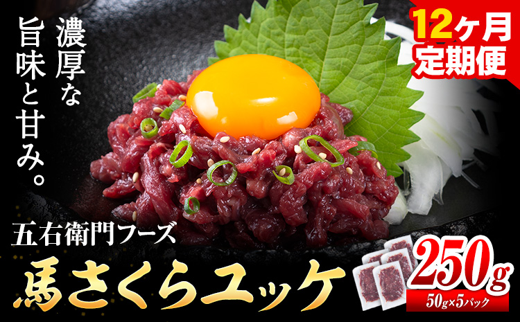 馬肉 馬さくらユッケ 50g × 5パック 3kg 12ヶ月定期便 五右衛門フーズ 《お申込み月の翌月から出荷開始》 熊本県 球磨郡 山江村 馬肉 肉 国産 馬 さくら ユッケ 小分け 送料無料---sy_fgoeskyktei_r7_159000_250g_mo12---