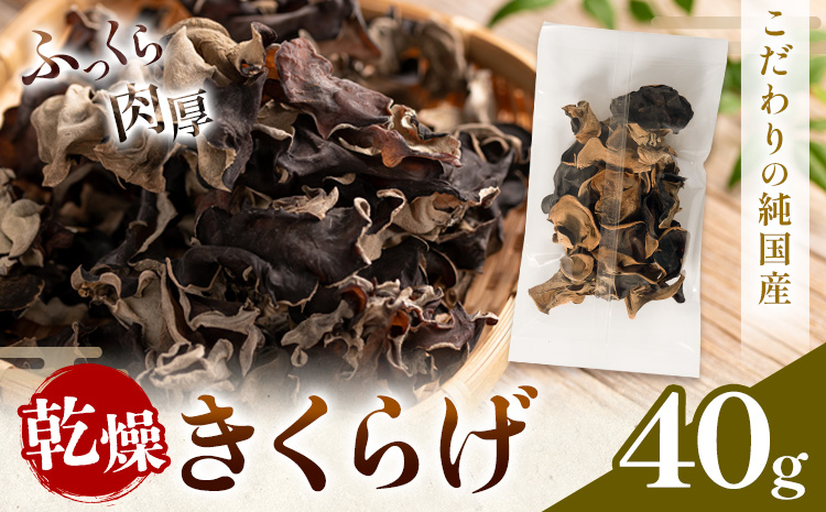乾燥きくらげ 40g 鷹乃産業有限会社 《30日以内に出荷予定(土日祝除く)》熊本県 球磨郡 山江村 きくらげ きのこ 野菜---isy_takaksk_30d_25_4500_40g---
