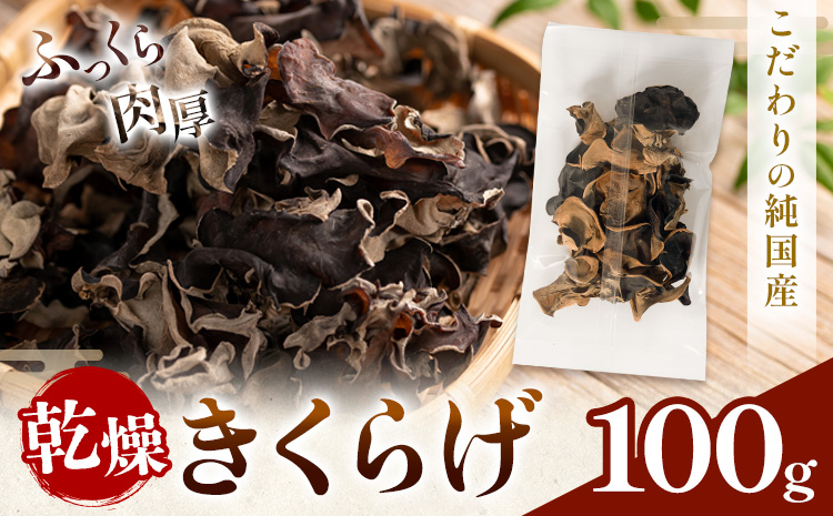乾燥きくらげ 100g 鷹乃産業有限会社 《30日以内に出荷予定(土日祝除く)》熊本県 球磨郡 山江村 きくらげ きのこ 野菜---sy_takaksk_30d_25_10500_100g---