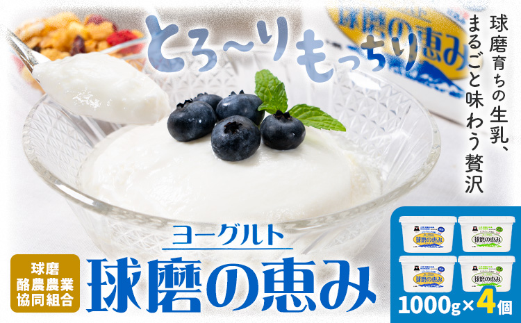 球磨の恵み ヨーグルト 1000g × 4個 球磨酪農農業協同組合《30日以内に出荷予定(土日祝除く)》熊本県 球磨郡 山江村 球磨の恵みヨーグルト 加糖 砂糖不使用 熊本県産 生乳 使用---ym_ckrkmy_30d_r7_14000_4p---