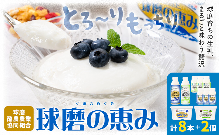 球磨の恵み ヨーグルト 計2個 のむヨーグルト 計8本 堪能セット 球磨酪農農業協同組合《30日以内に出荷予定(土日祝除く)》熊本県 球磨郡 山江村 球磨の恵みヨーグルト 球磨の恵みのむヨーグルト 加糖 砂糖不使用 熊本県産 生乳 使用---ym_ckrkmyt_30d_r7_14000_10p---